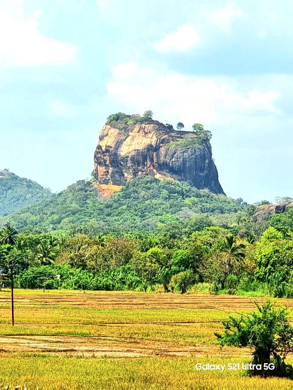 Panoramic Royal Villa Sigiriya Luaran gambar